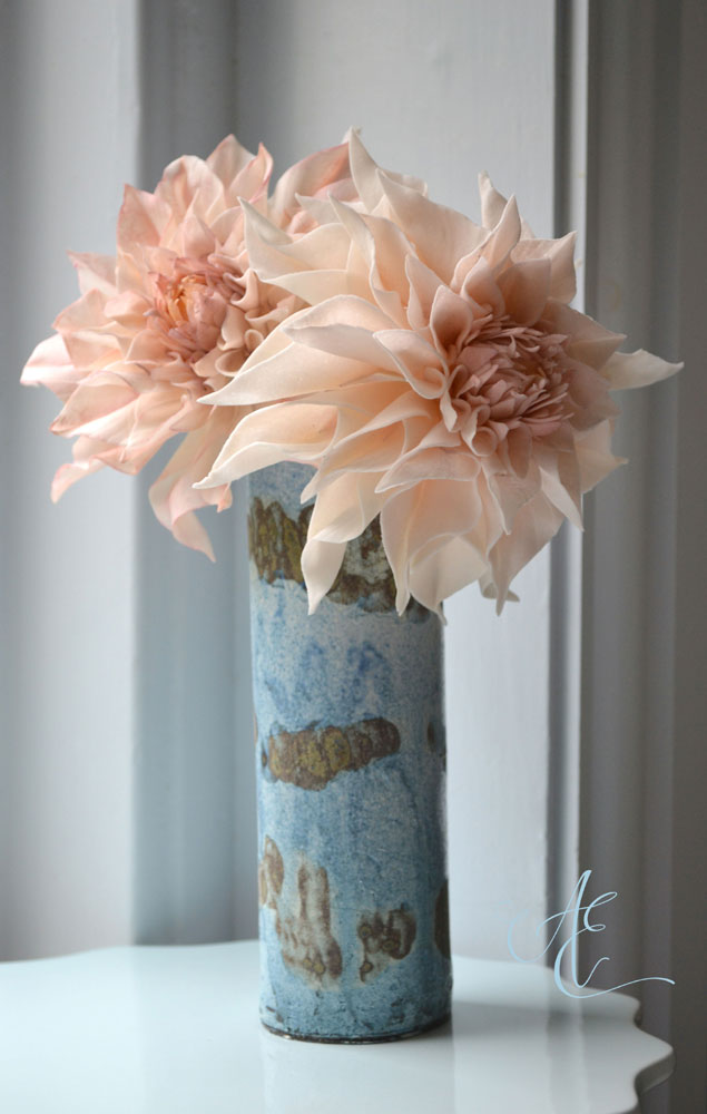 Café au Lait Dahlias sugar cafe au lait dahlias