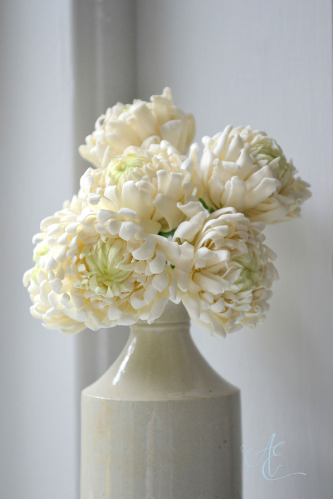 Chrysanthemums sugar chrysanthemums