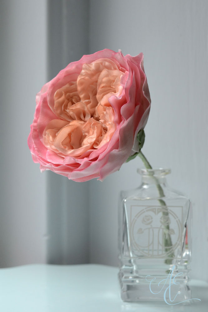 Constance David Austin-style Rose Constance David Austin-style sugar Rose