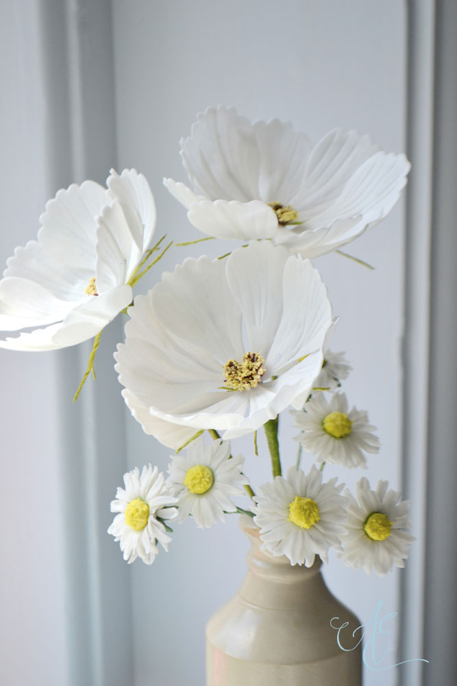 Cosmos and Daisies Sugar Cosmos and Daisies