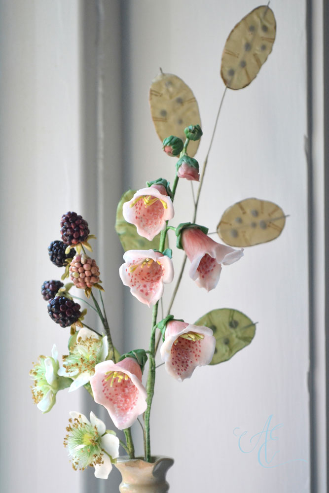 Foxgloves brambles honesty Sugar foxgloves brambles honesty