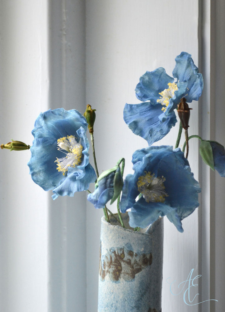 Himalayan Poppies sugarpaste Himalayan Poppies