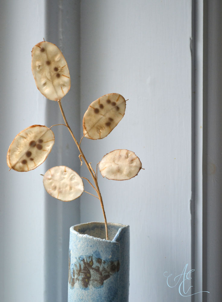 Lunaria sugarpaste lunaria stems