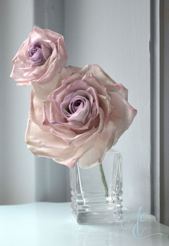 Ocean Song Rose sugar ocean song rose