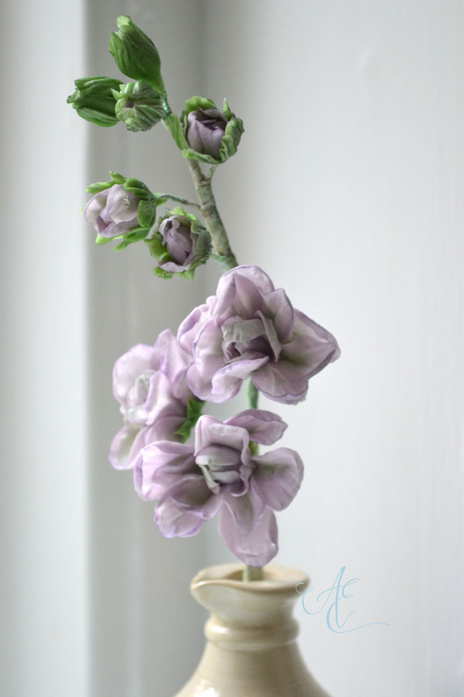 Stocks flowers sugar stocks flowers