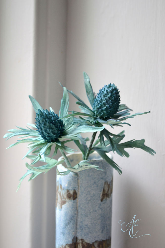 Sea holly sugar sea holly