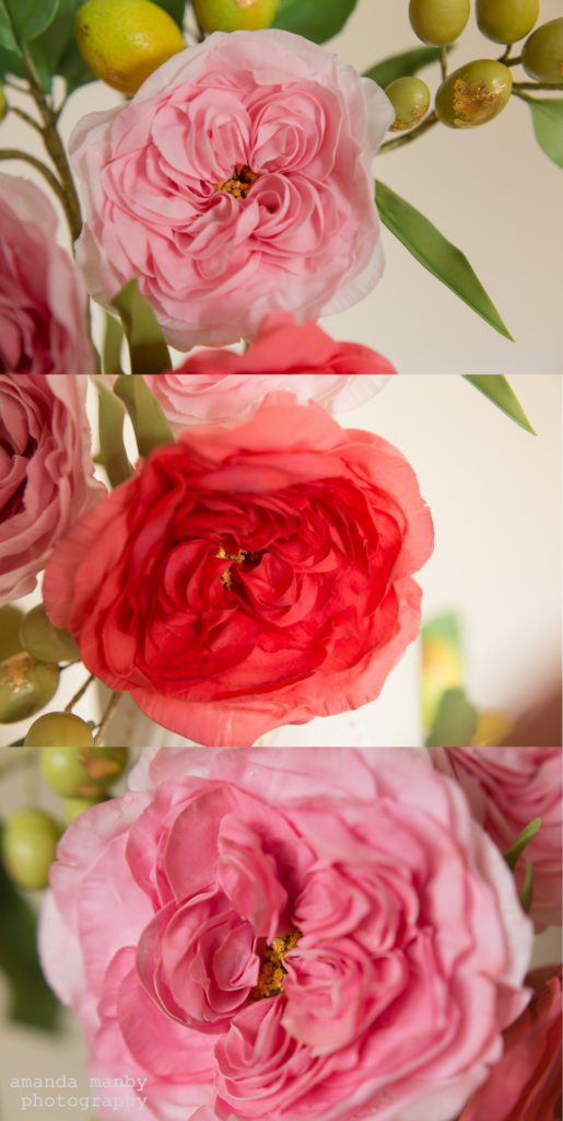 Damask roses sugar damask roses