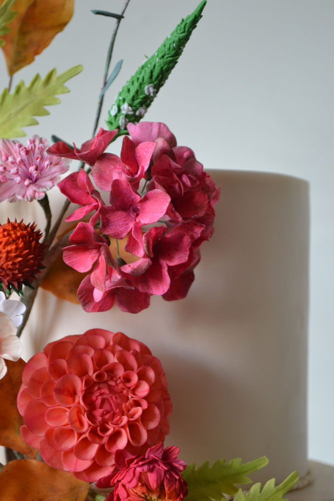 sugar hydrangea crimson sugar dahlia coral