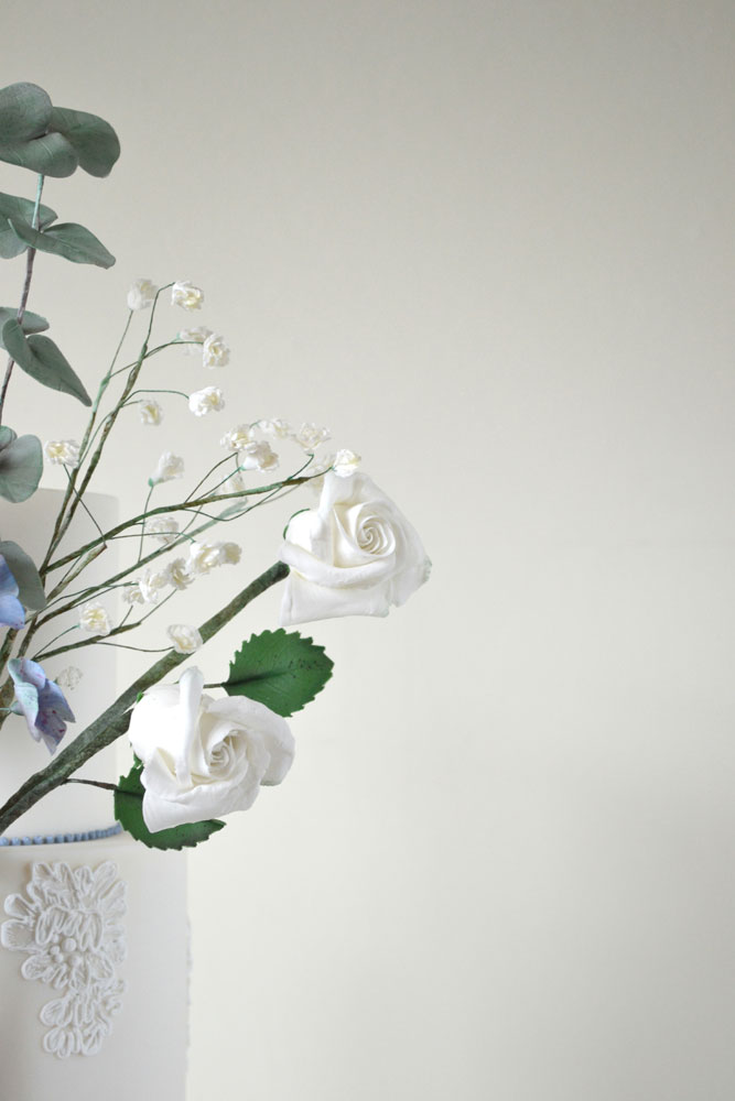 sugar white rose and gypsophila