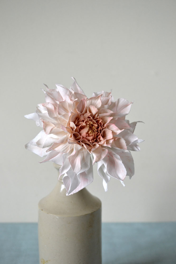 clay cafe au lait dahlia